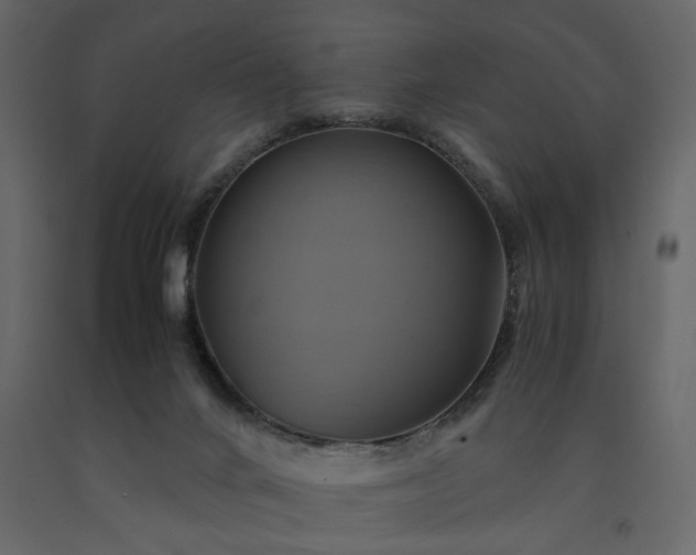 X0000091540024200708241744