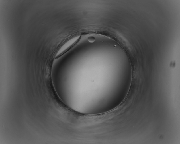X0000091540025200708241744