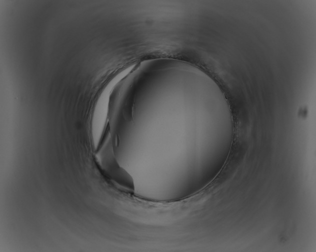 X0000091540027200708241743