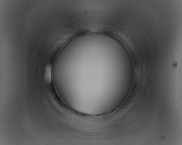 X0000091540028200708241743