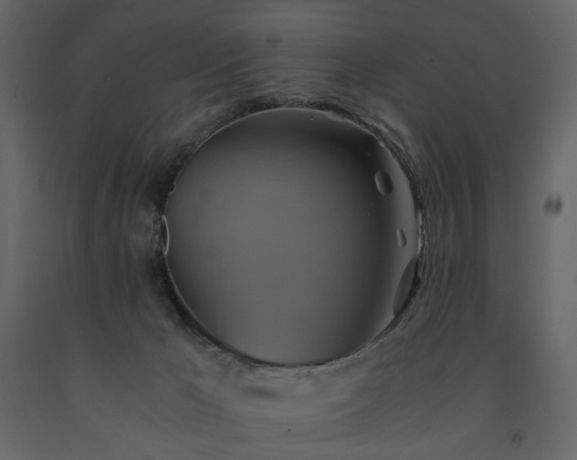 X0000091540029200708241743