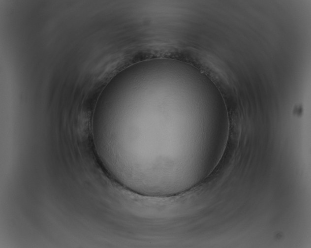 X0000091540034200708241743