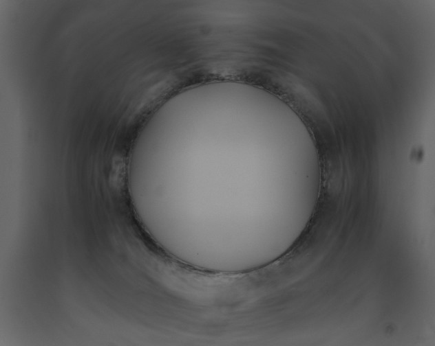 X0000091540036200708241743