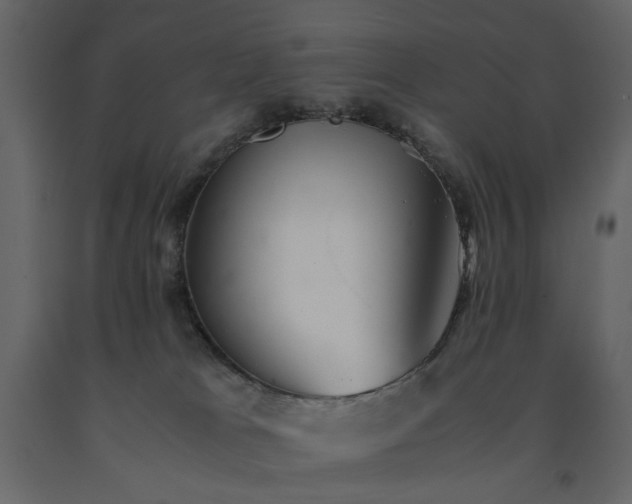 X0000091540037200708241743