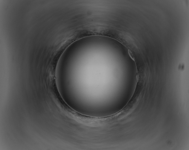X0000091540040200708241743
