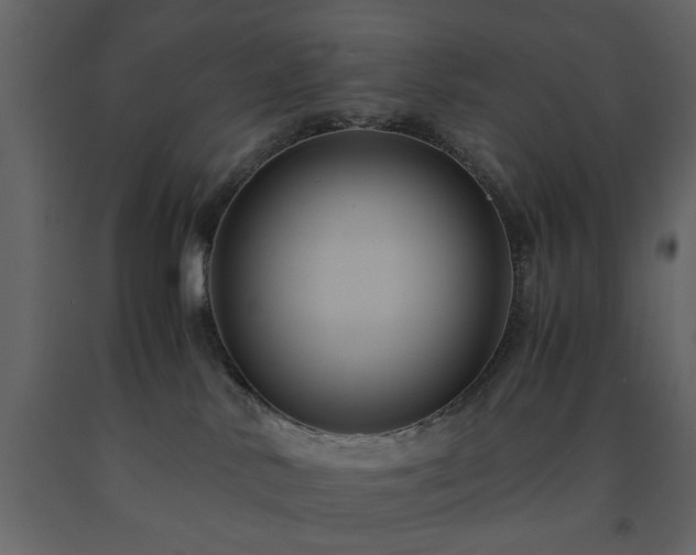 X0000091540042200708241743