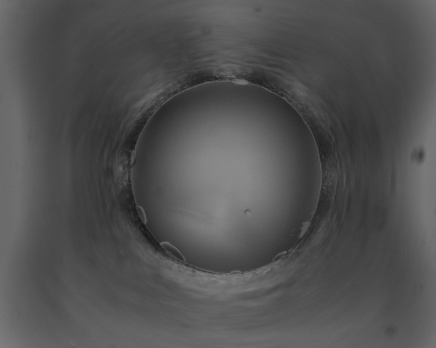X0000091540043200708241743