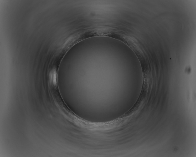 X0000091540046200708241743