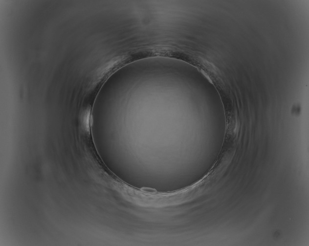 X0000091540047200708241743
