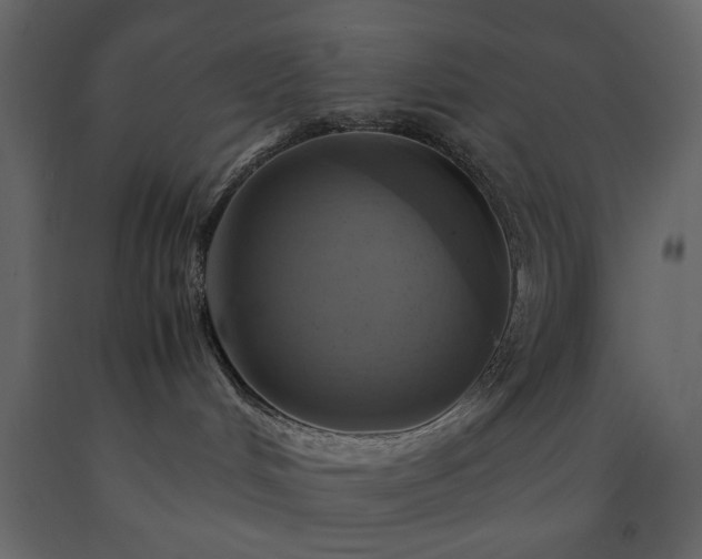 X0000091540048200708241743