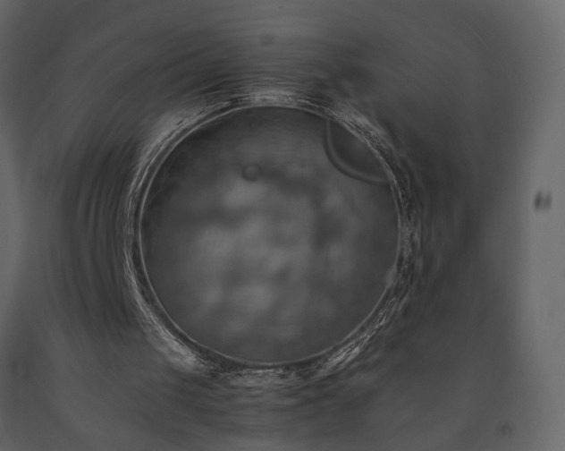 X0000091540049200708241742