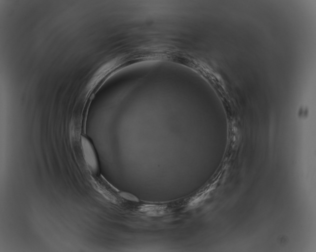 X0000091540051200708241742