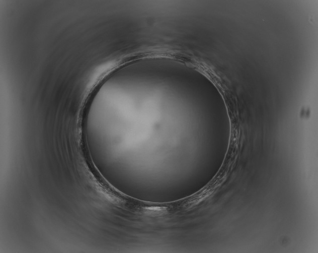 X0000091540053200708241743