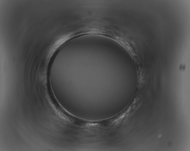 X0000091540055200708241743