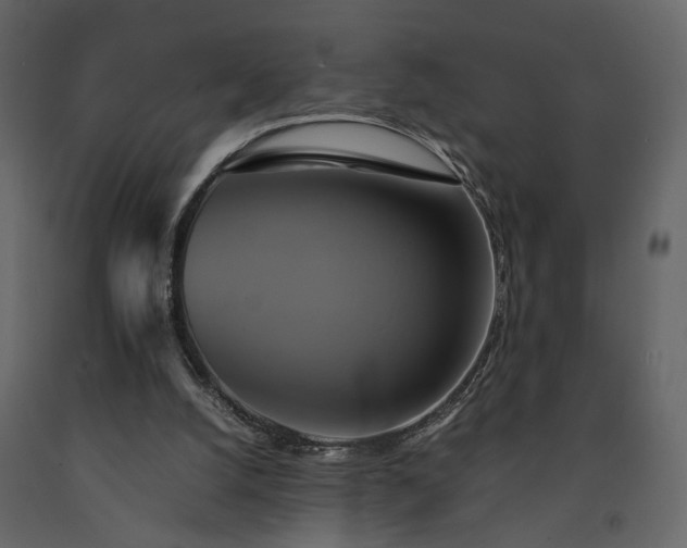 X0000091540056200708241743