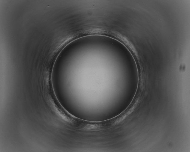 X0000091540057200708241743