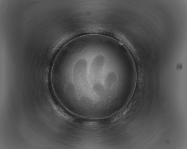 X0000091540058200708241743