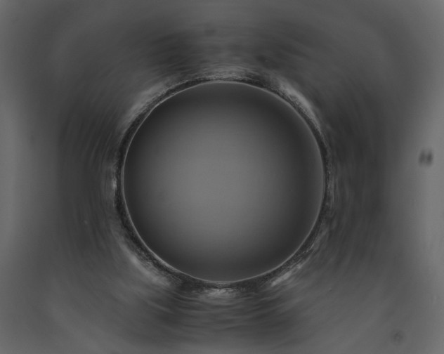 X0000091540059200708241743