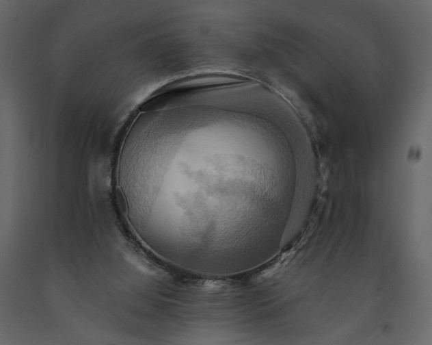 X0000091540060200708241743