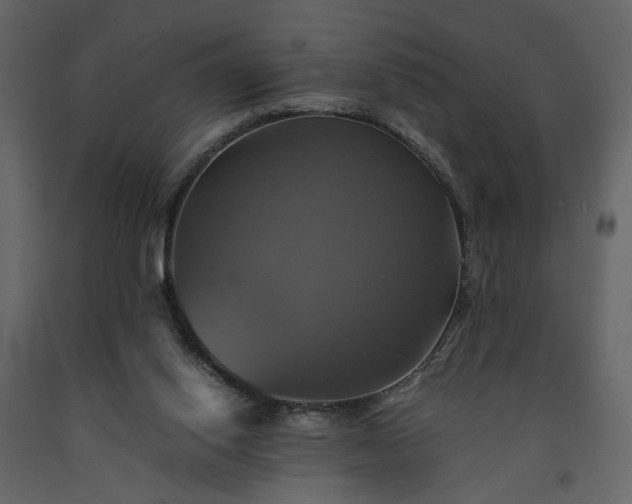 X0000091540062200708241743