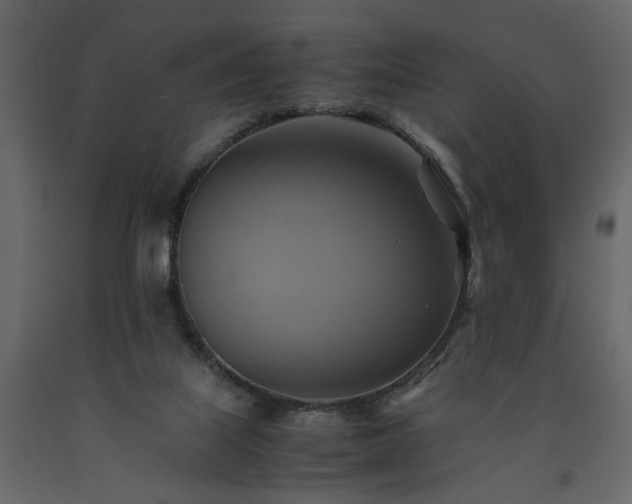 X0000091540067200708241743