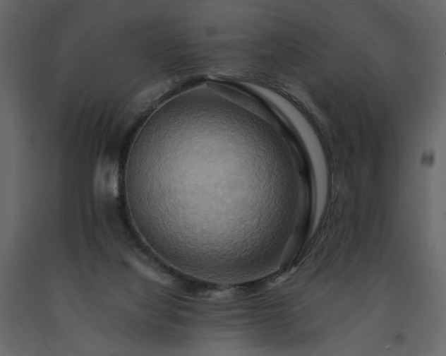 X0000091540068200708241743