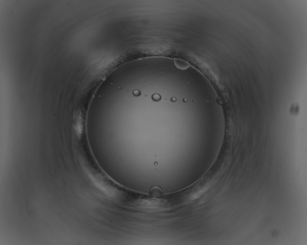 X0000091540069200708241743