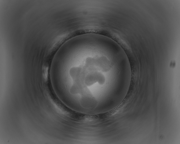 X0000091540070200708241743