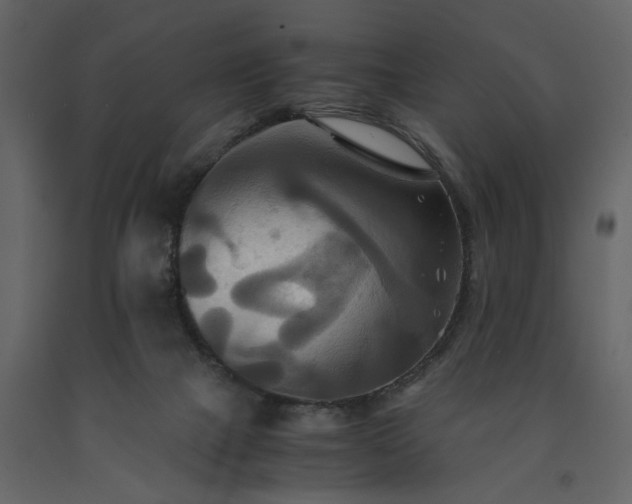 X0000091540073200708241743