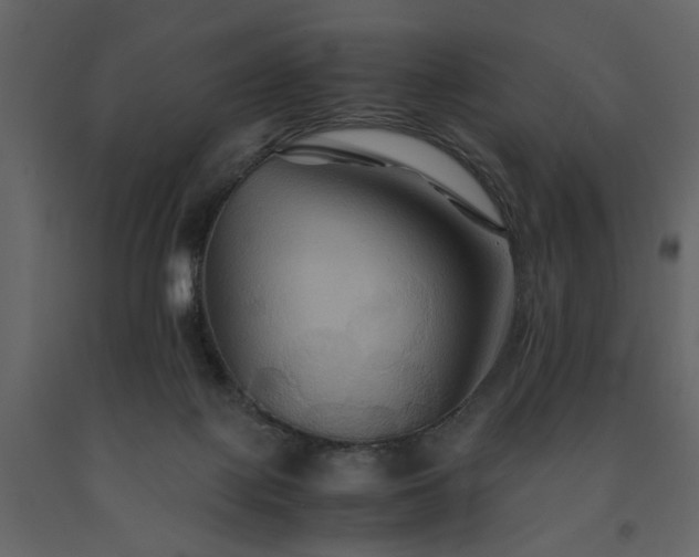 X0000091540075200708241743