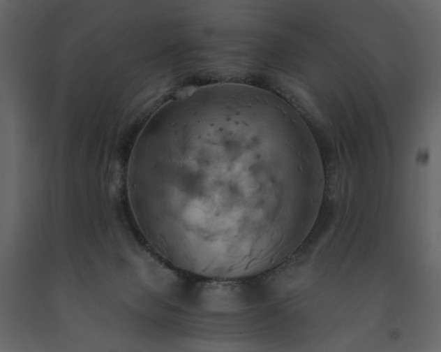 X0000091540077200708241743