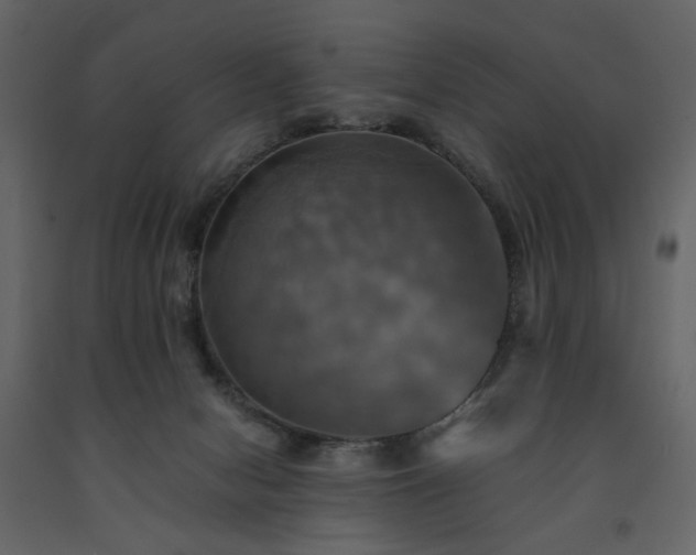 X0000091540078200708241743