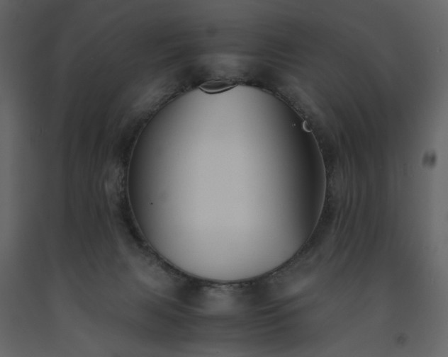 X0000091540079200708241743