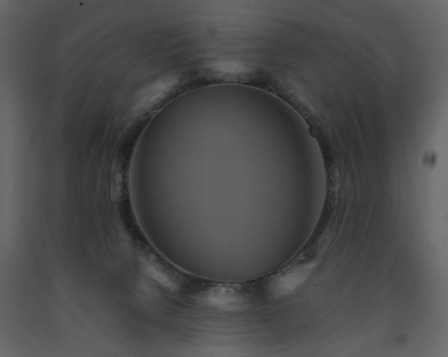 X0000091540080200708241743