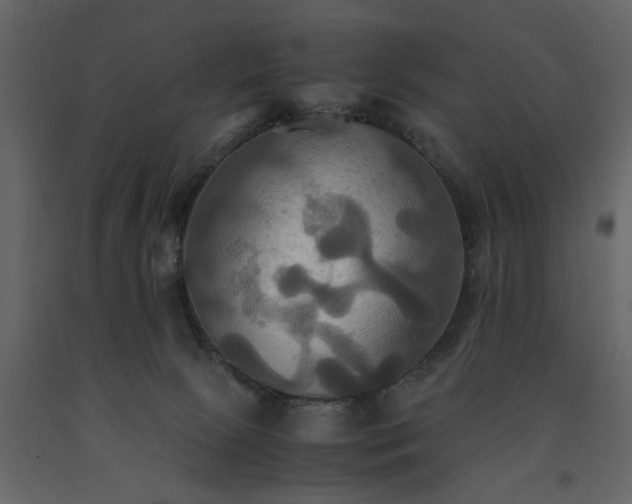 X0000091540081200708241743