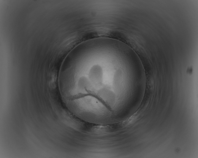 X0000091540082200708241743