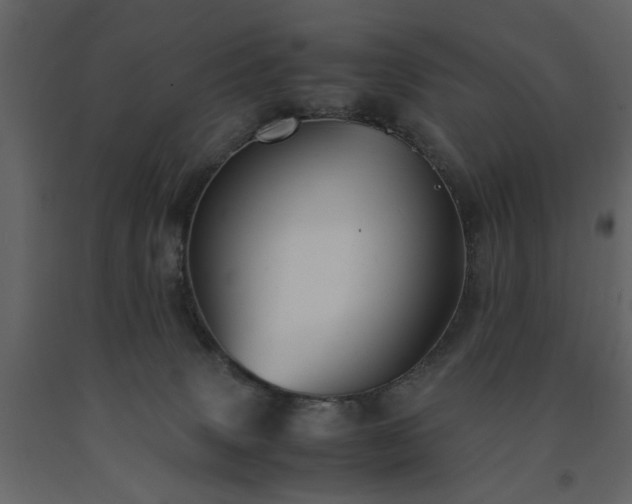 X0000091540083200708241743