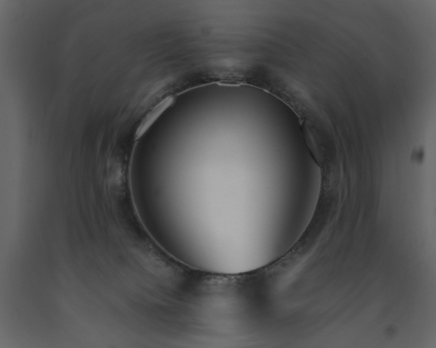 X0000091540084200708241743