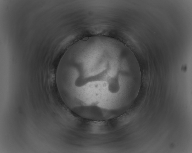 X0000091540085200708241743