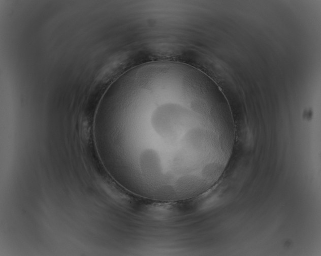 X0000091540086200708241743