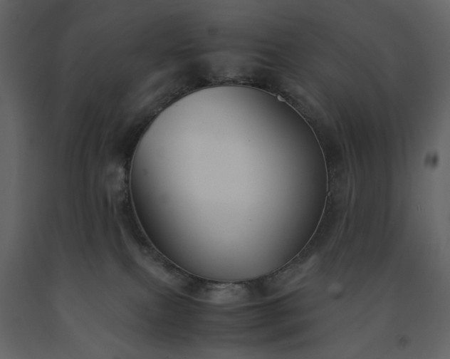 X0000091540087200708241743