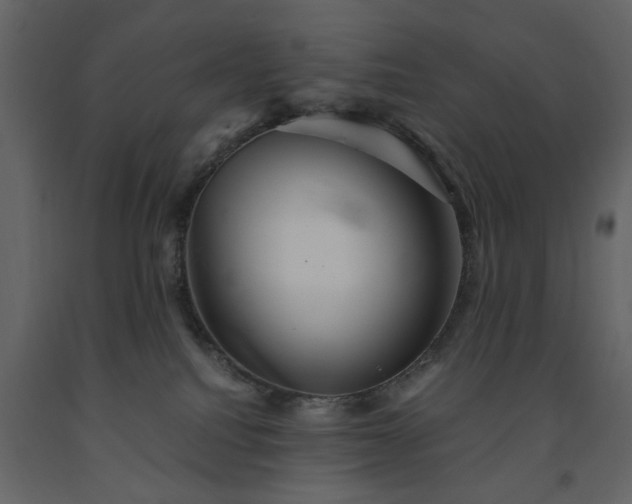 X0000091540088200708241743