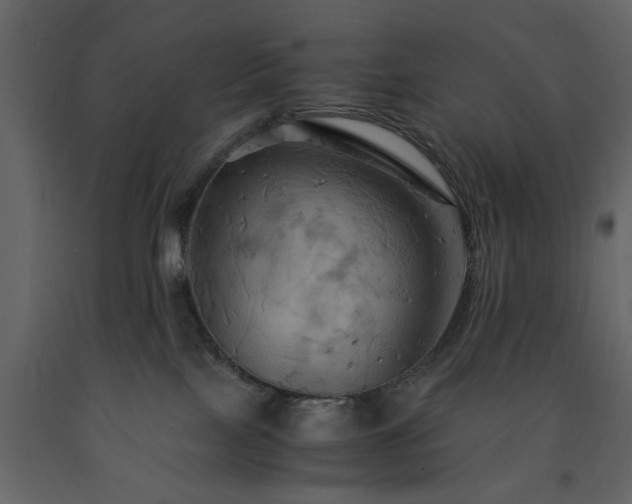 X0000091540089200708241743