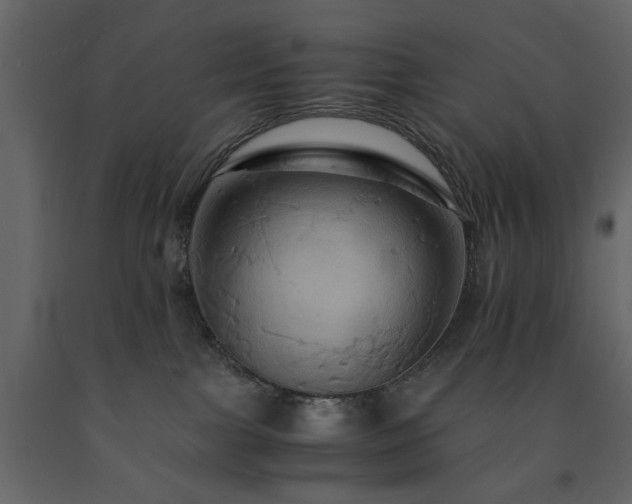 X0000091540091200708241743