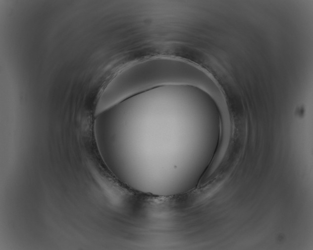 X0000091540092200708241743