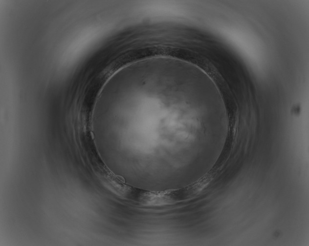 X0000091540093200708241743