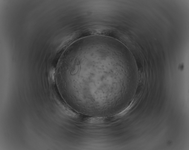 X0000091540094200708241743