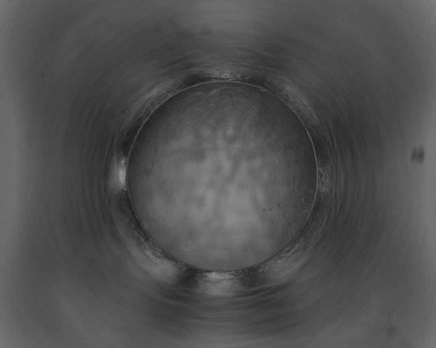 X0000091540095200708241743