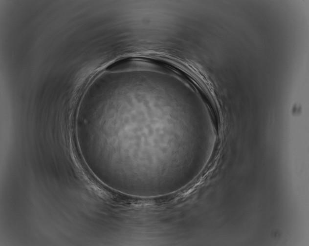 X0000091540097200708241742