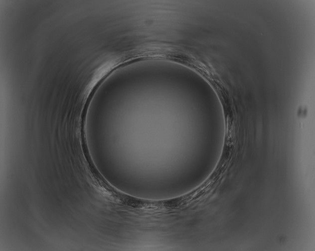 X0000091540099200708241742